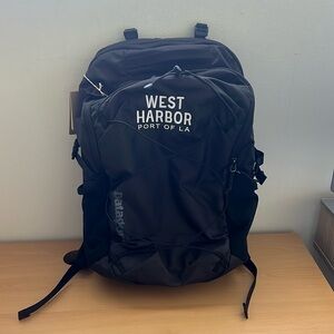 Patagonia Black Refugio Day Pack 30L